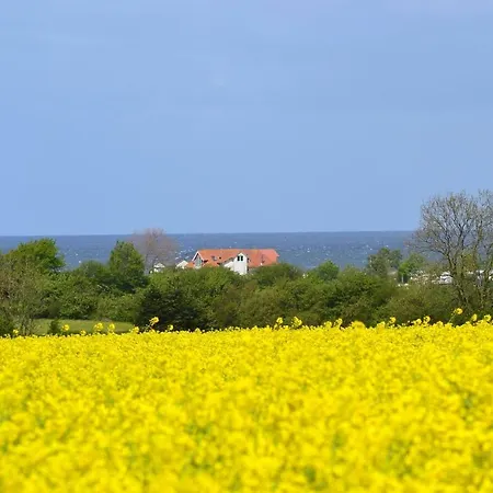 Steiner Strandappartements 110 Südseite Mit Seitlichem Meerblick *